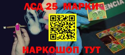 Альфа ПВП Нальчик