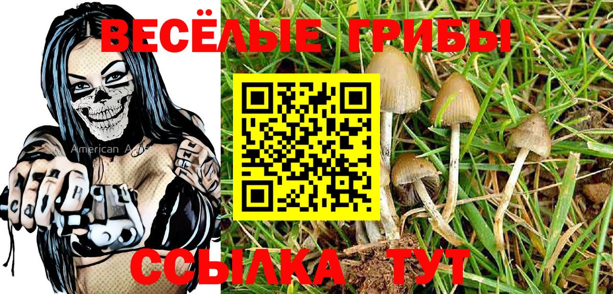 Галлюциногенные грибы Cubensis Усть-Илимск